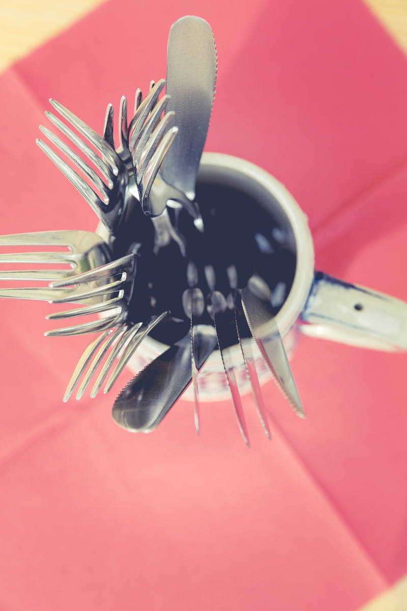 high angle view, knife, food, animal, eating utensil, red, flower, equipment, indoors, cutlery, kitchen utensil, 5K, one animal, studio shot, jar, knives