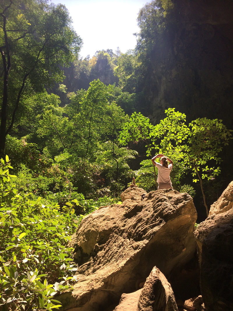 solid, scenics - nature, journey, forest, rock formation, outdoors, sunlight, destination, day, mountain, growth, exploring, Explore, rock - object, green color