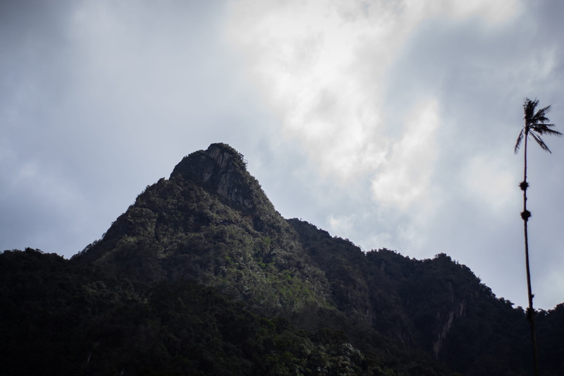 cloud - sky, rock, day, wax palm, sky, mountain peak, low angle view, no people, 5K, street light, idyllic, outdoors, plant, cocora valley hatchery canino