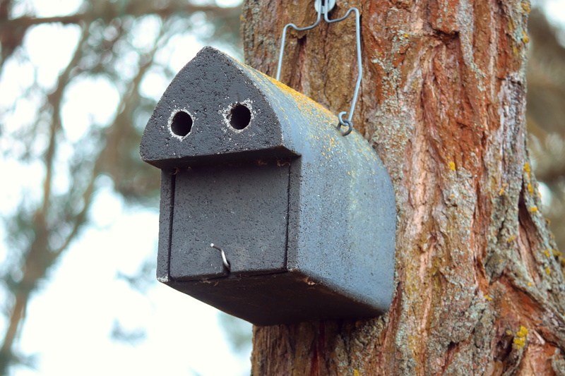 outdoors, nesting help, shape, log, close-up, nesting opportunity, sunlight, textured, treehouse, day, animal welfare, trunk, wood, nest, einflugloch, feeding