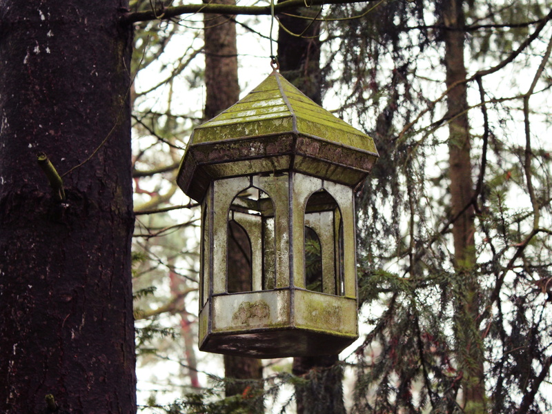 tree, spirituality, plant, outdoors, nest, brown, bird, hanging, place of worship, daytime, trunk, nature, hatchery, no people, lantern, forest, branches