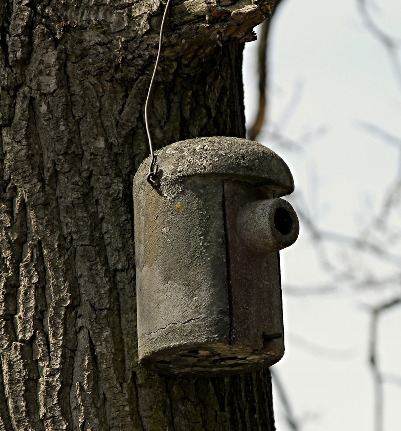 metal, garden, built structure, hatchery, nesting help, breed, nesting place, close-up, Nesting, nesting box, old, decline, tree trunk, focus on foreground