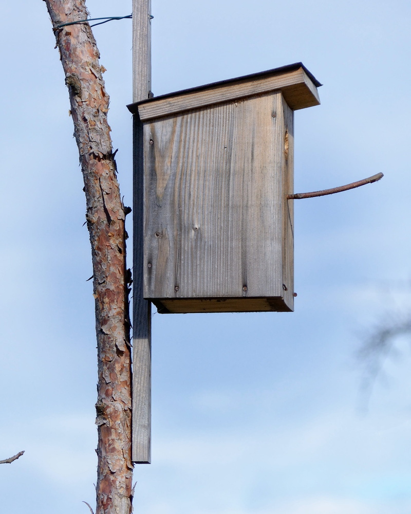 built structure, nature conservation, outdoors, plant, sky, no people, building exterior, architecture, shelter, abandoned, nesting place, wood - Material