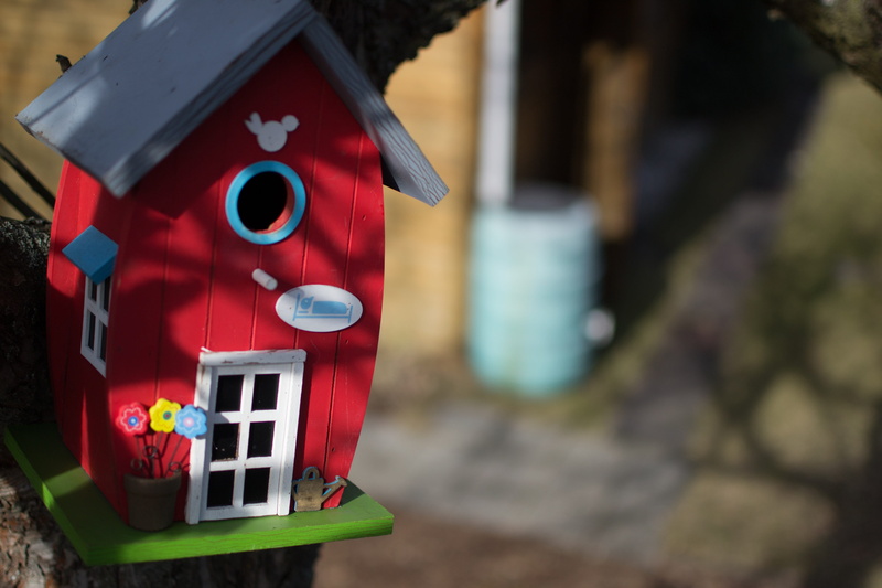 robot, home, nest, outdoors, nesting box, bird feeder, birdhouse, built structure, einflugloch, breed, nesting help, colorful, 4K, nature, city, day, aviary