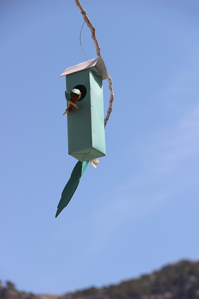 nest, nesting box, holiday, spain, sunlight, green color, hanging, decoration, nesting help, close-up, humor, day, nature, single object, Box, sky, sunny