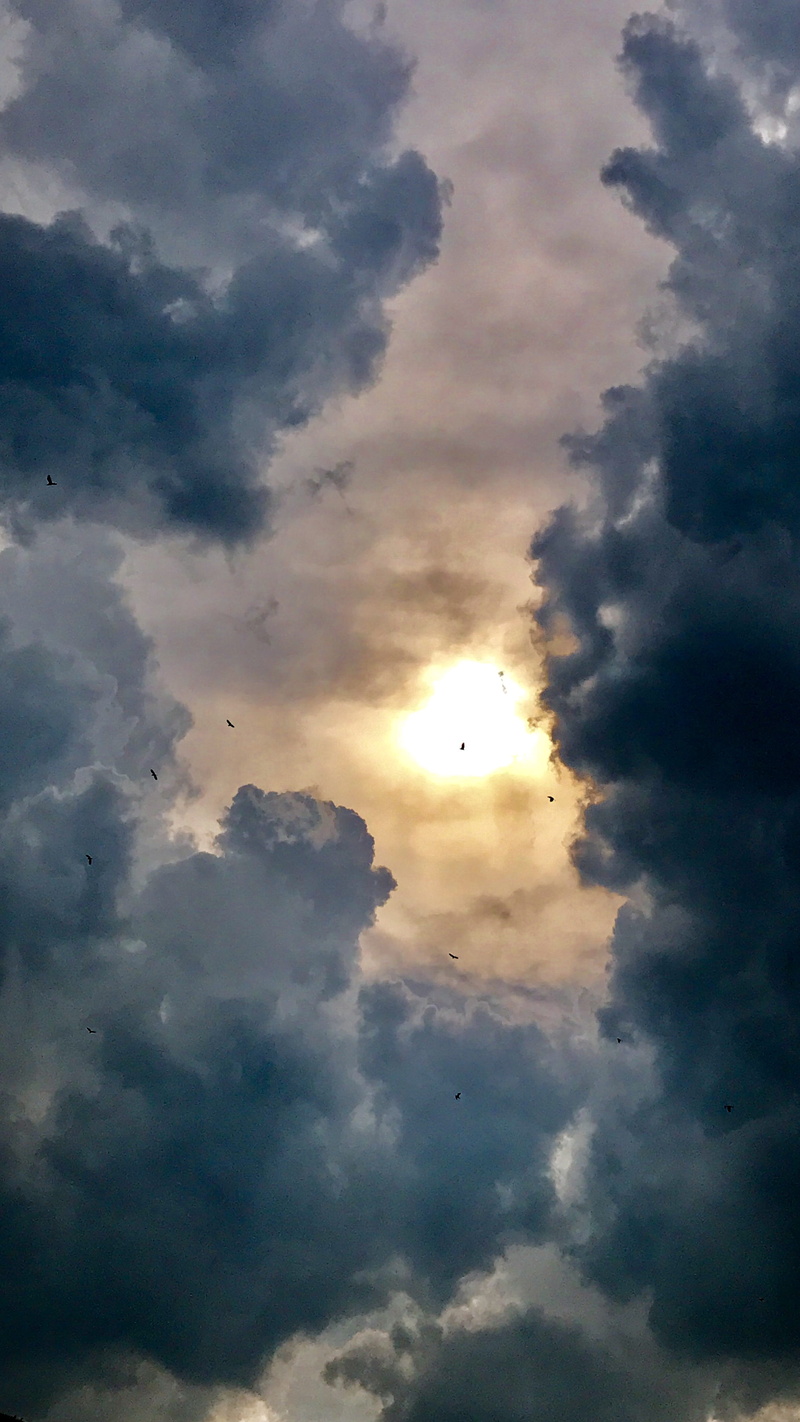 nature, sunset, back lit, cloids, blue, outdoors, no people, scenics - nature, 4K, idyllic, photo, cloudy, sunbeam, sun, sunlight, day, taken, low angle view