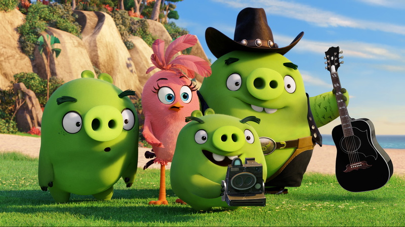 Bad Piggies, Angry Birds, Green Pigs, 4K
