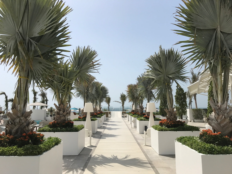 clear sky, water, emirates, beach, day, direction, the way forward, plant, palm tree, in a row, burj, no people, growth, footpath, treelined, nature, tropical climate