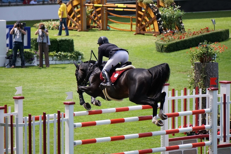 chio, people, tournament, jump, outdoors, boundary, rap, nature, mold, grass, real people, equestrian, black, bridle, fuchs, dog, obstacles, coach, sport