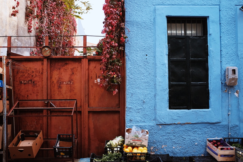 wood - material, potted plant, 4K, colors, flowering plant, building, greece, day, orange, xios, no people, house, blue, chios island, ivy, window, tree