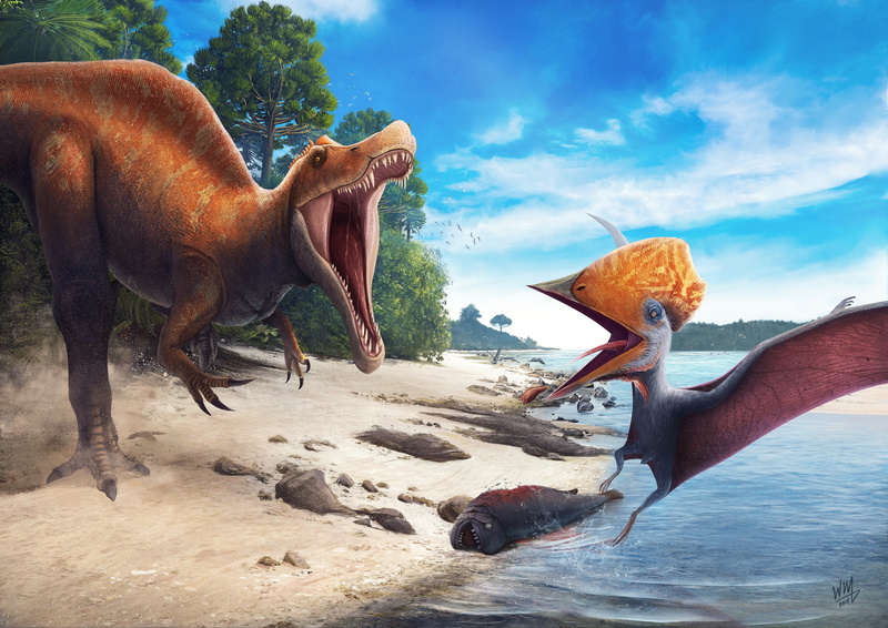 4K, Tupuxuara, Competition, Dinosaurs, Angaturama, 4K, Northeast
