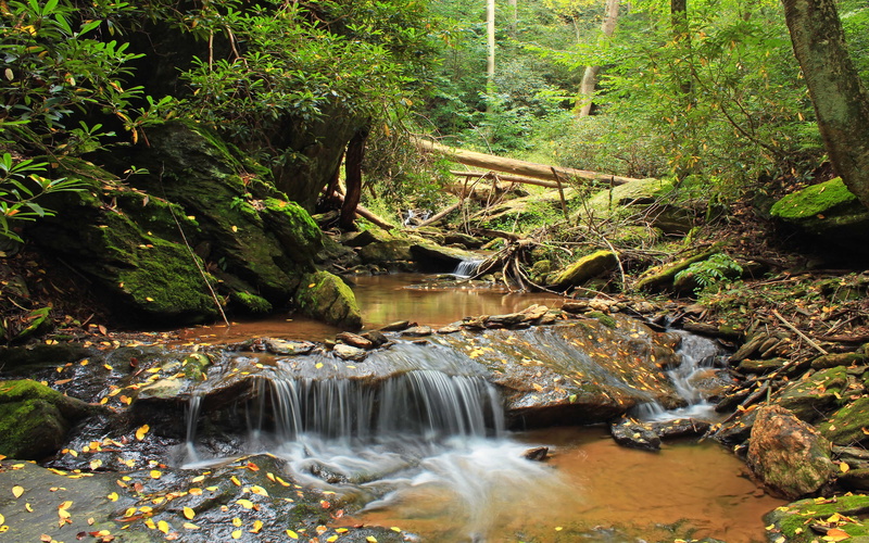 falling water, land, power in nature, york, day, plant, non-urban scene, landscape, mason, united, flowing, woodland, rock - object, pennsylvania, tree