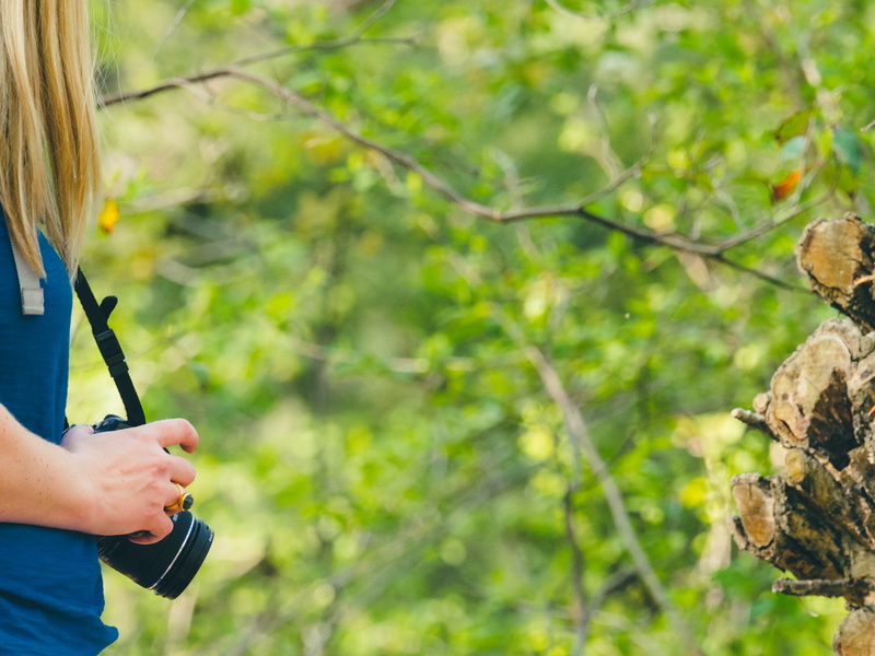 branch, northeast washington, adult, holding, trees, one person, plant, forest, united states, photographer, human hand, washington, day, woman, 4K, outdoors