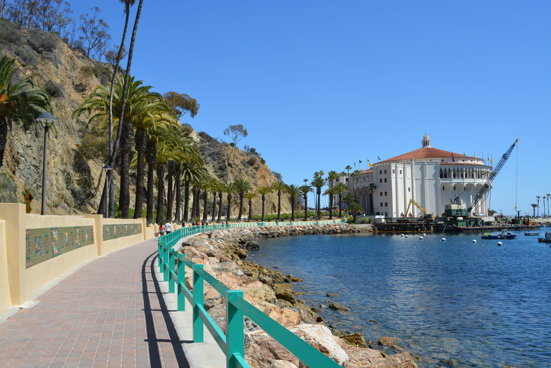 catalina, palm tree, water, sunlight, island, clear sky, tree, observatory, 4K, architecture, blue, building, built structure, sky, day, travel destinations