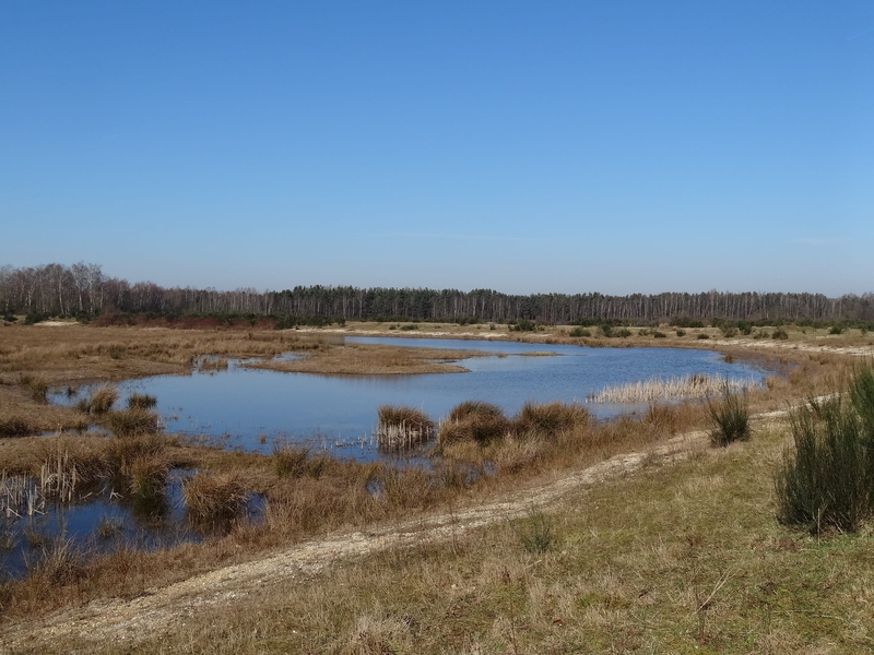 outdoors, Natural, sky, north brabant, 2K, brabant, landscape, bright, blue sky, sun, marsh, skies, wetland, non-urban scene, Nature, rest, tranquil scene