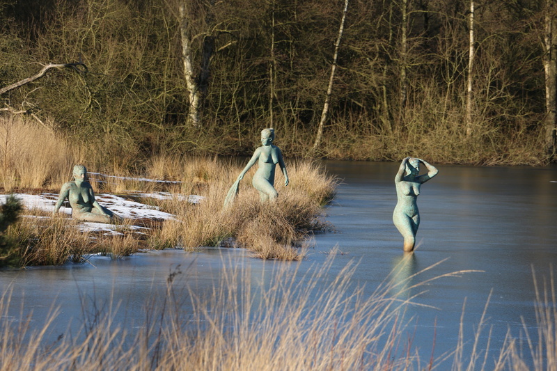 north brabant, day, vertebrate, art, animal wildlife, people, reflection, beauty in nature, tree, bird, real people, animals in the wild, esbeek, 2K, nature