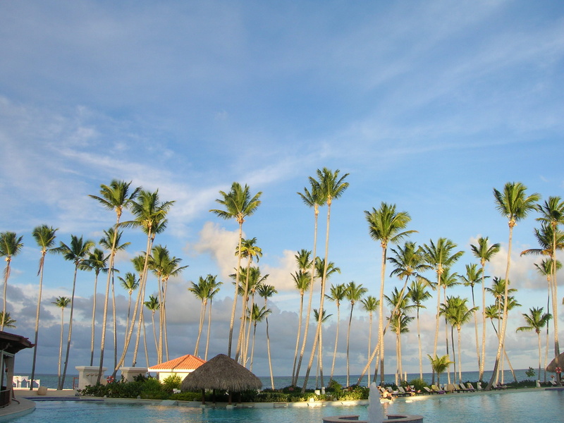 oceanfront, poolside, outdoors, cloud - sky, 2K, pool, waterfront, tropical climate, growth, punts cana, palm tree, palm trees, land, beach, beachfront