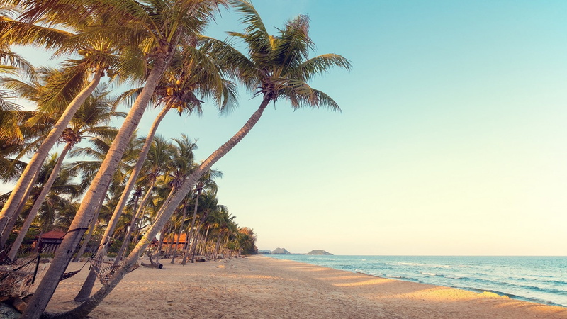 tranquility, palm leaf, tranquil scene, tropics, land, horizon over water, sunlight, tropical beach, tropical, sky, tropical climate, beauty in nature