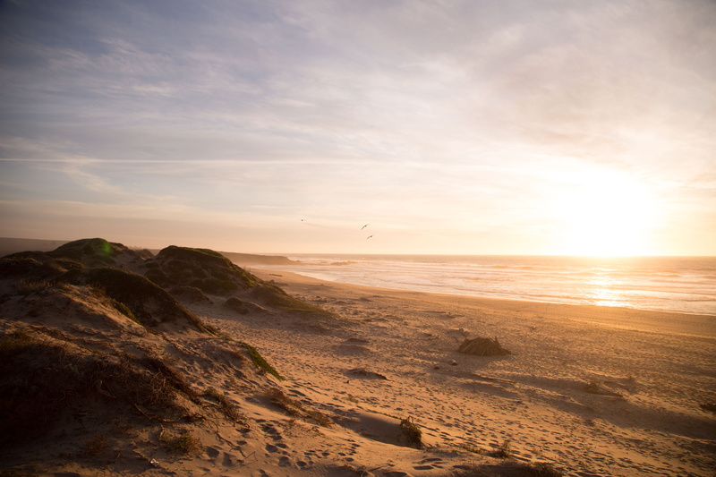 non-urban scene, land, sea, shore, sky, nature, beach, no people, horizon, ocean, sunset, landscape, sand, coast, outdoors, sun, scenics - nature, seagull