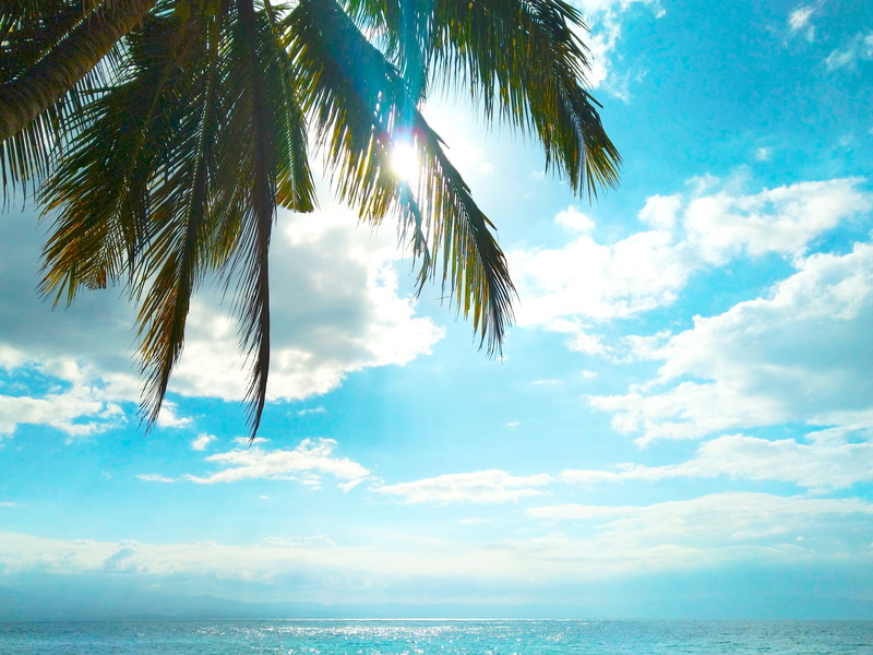 sea, seascape, seaside, relax, idyllic, scenery, ocean, tropical tree, island, sky, tranquility, tropical, plant, summer, landscape, relaxation, paradise