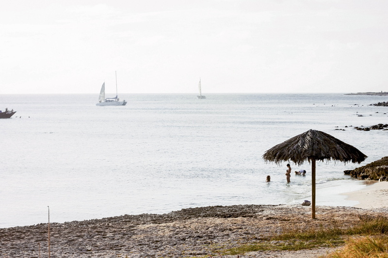 outdoors, people, travel, paradise, beach umbrella, swimming, aruba, tranquil scene, tranquility, day, sky, no people, oranjestad, umbrella, horizon, humans