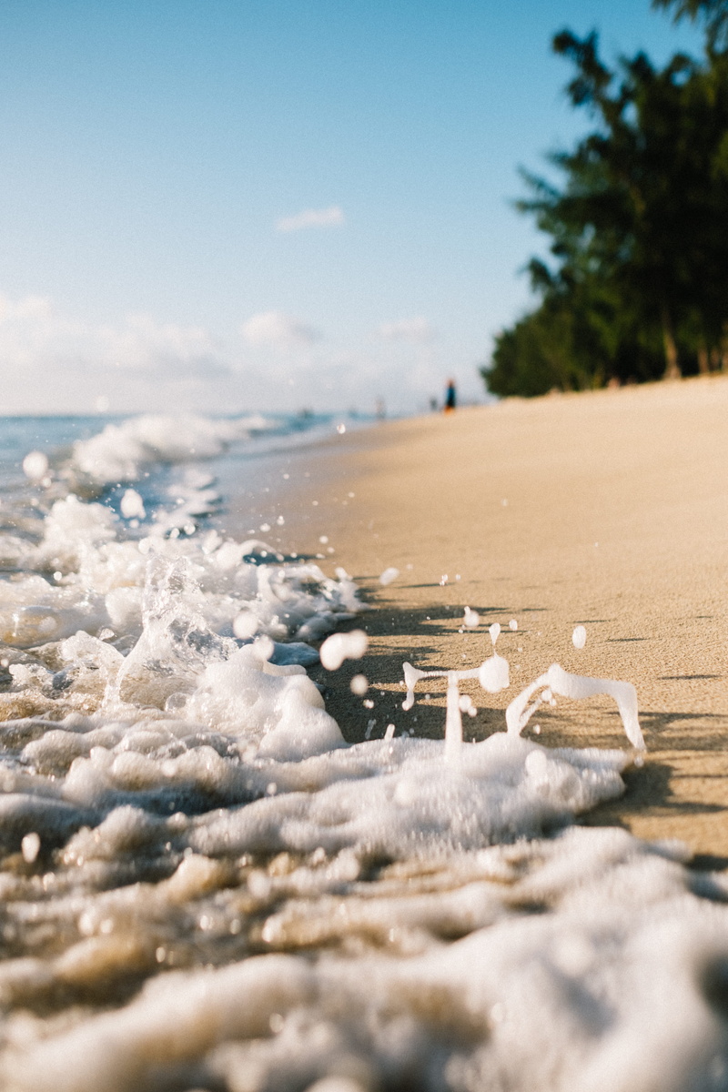 tree, sport, trees, splash, photo, beauty in nature, ocean, waves, sand, sea, closeup, 5K, mauritiu, bokeh, motion, water, beach, foam, sky, aquatic sport