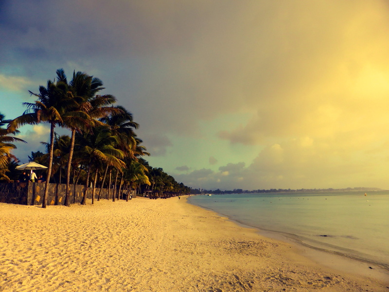 cloudy, spectacular, palm, trees, sunset, coastline, tree, vacation, island, pizza, palm trees, white, beach, 2K, Indian Ocean, tourist, blue, sand, Mauritius