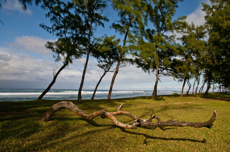 land, non-urban scene, sand, waters, nature, no people, beauty in nature, landscape, trees, sea, travel, tranquility, vacations, island, plant, growth