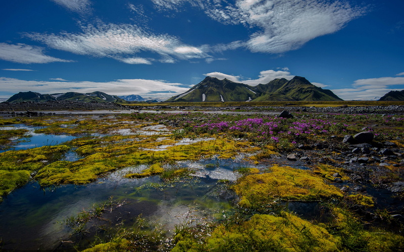 grass, stones, clouds, springtime, swamp, flowers, hd, mountains, green, 2K, river, white, sky