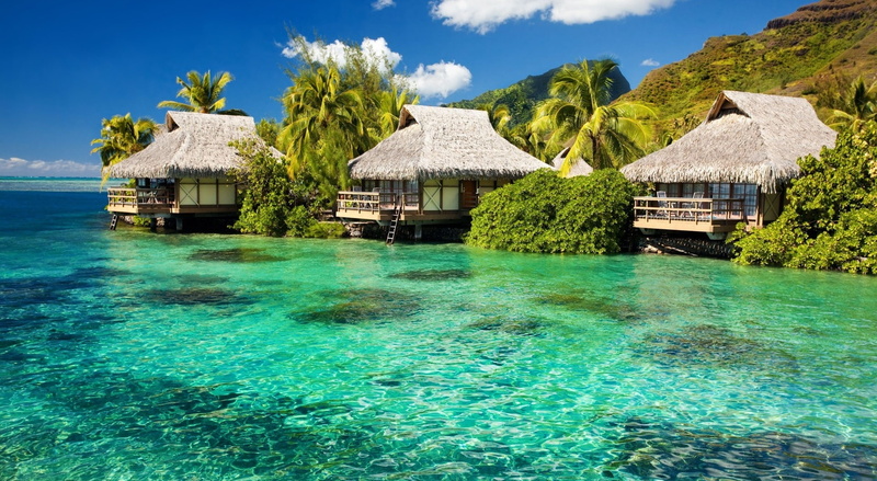 sea, roof, waterfront, turquoise colored, hut, 1080P, thatched roof, no people, Beach, tranquil scene, sky, Nature, scenics - nature, tree, architecture
