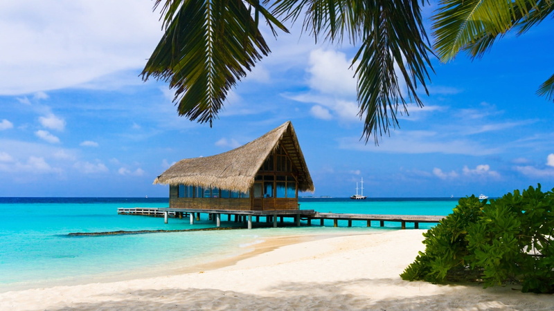 turquoise colored, tranquil scene, 1080P, tourism, palm tree, travel destinations, scenics - nature, plant, outdoors, built structure, overwater, tree