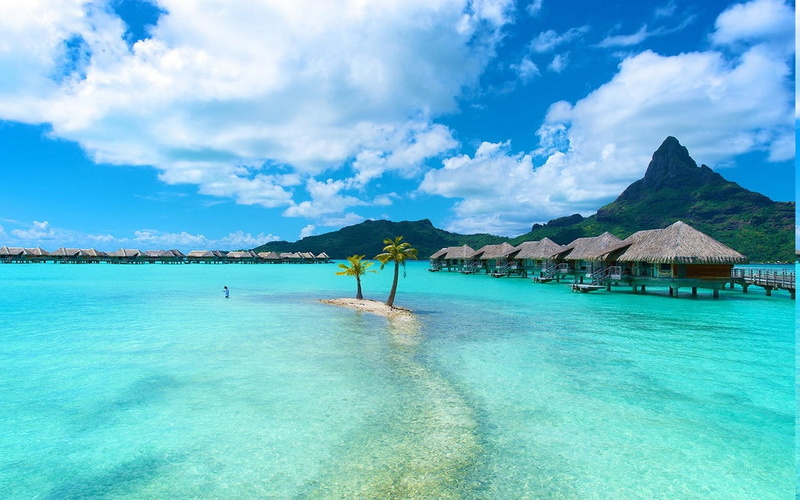 resort, tropical, scenics - nature, blue, Palm Trees, landscape, holiday, turquoise colored, Bora Bora, sky, waterfront, Bungalow, 720P, summer, thatched roof