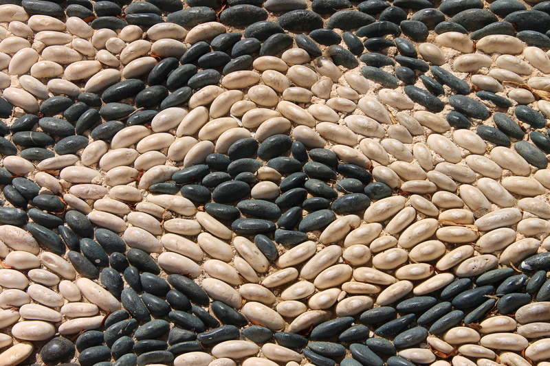 stone - object, day, arranged, patch, pattern, stone, sunlight, outdoors, abundance, structure, oval, round, paving stones, rounded, nature, rock, expired