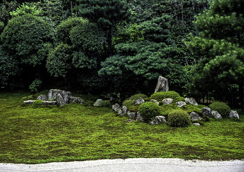 outdoors, Japan, ornamental Garden, hedge, formal Garden, day, green Color, tranquility, tree, sculpture, plant, photo, beauty in nature, japan, grass