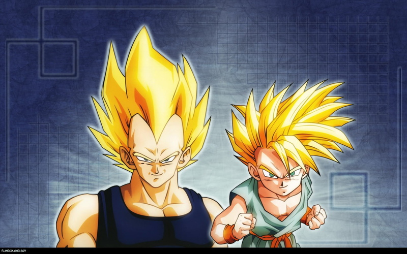 front view, fragility, vegetta, female likeness, Dragon Ball Z, inflorescence, freshness, vulnerability, yellow, Dragon Ball, flowering plant, flower head