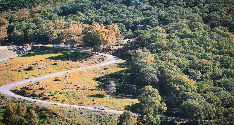 transportation, nature, environment, landscape, beni m tir, car, high angle view, non-urban scene, tunisia, forest, tree, growth, winter, scenics - nature
