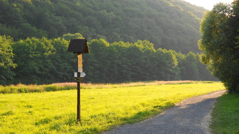 field, signs, day, plant, landscape, land, grass, outdoors, sign, beauty in nature, transportation, growth, no people, road, 1080P, communication, nature