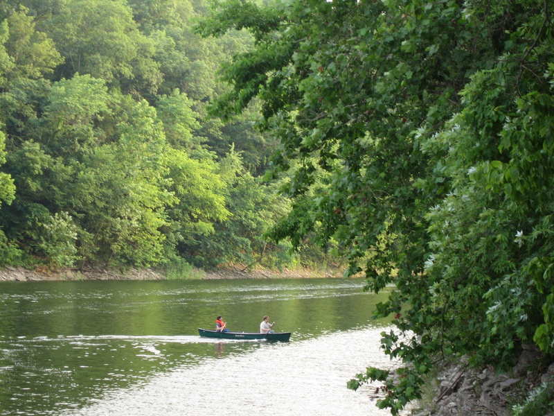 summer, forest, Kentucky, leisure activity, green color, nature, day, america, scenics - nature, growth, country, green, transportation, real people, landscape
