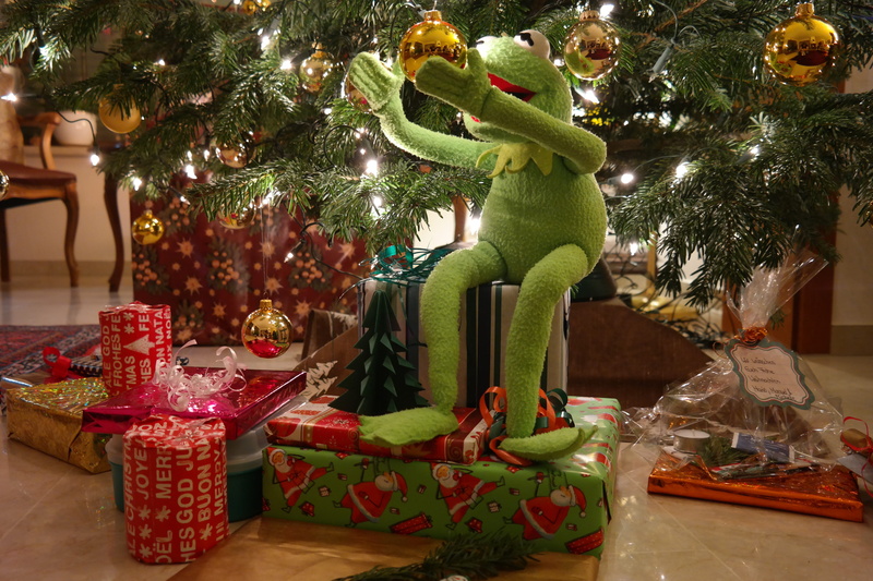 plant, happy, 5K, christmas, food and drink, christmas decoration, celebration, gift, Frog, plush, no people, Gifts, christmas present, indoors, animal representation