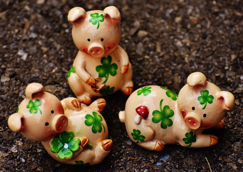 human representation, lucky pig, figure, figurines, ground, christmas, focus on foreground, pig, close-up, nature, food, four leaf clover, new years day