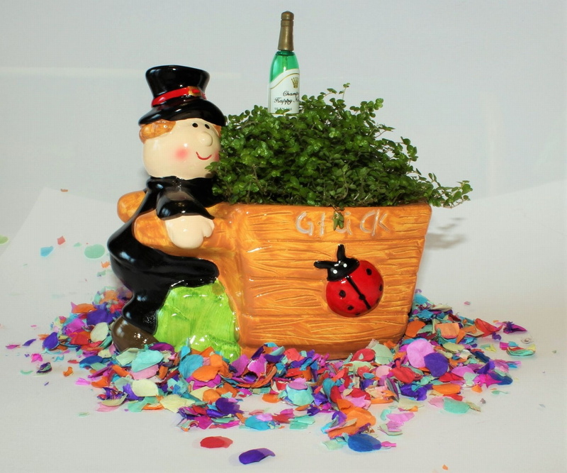 leaves, indoors, multi colored, lucky clover, food and drink, celebration, studio shot, art and craft, container, holiday, high angle view, white background