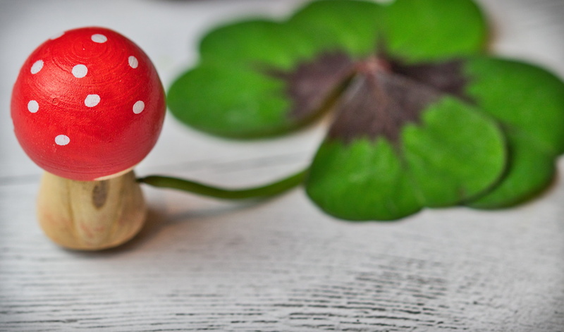 mushroom, green color, lucky clover, new years greetings, greeting card, lucky messenger, fly agaric, plant, leaf, freshness, food and drink, klee, wellbeing