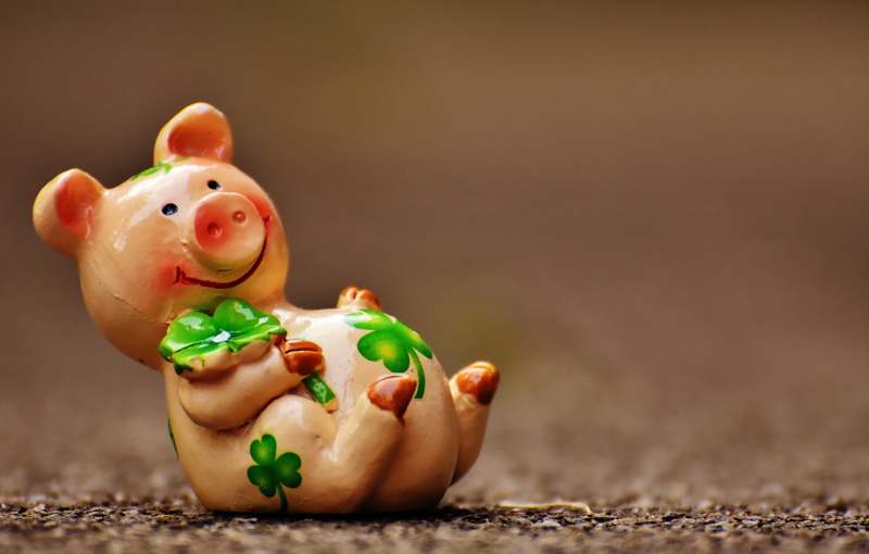 mammal, savings, investment, pig, 5K, lucky pig, pink, animal, coin Bank, figurine, representation, currency, lucky charm, animal representation, still life