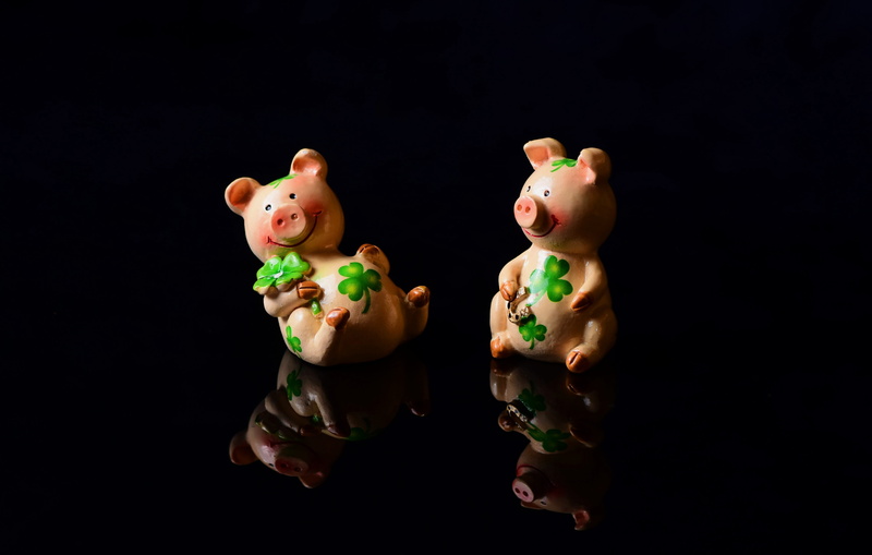 indoors, funny, shamrocks, mammal, clover, no people, lucky pig, holiday, food and drink, four leaf clover, lucky charm, human representation, figurine