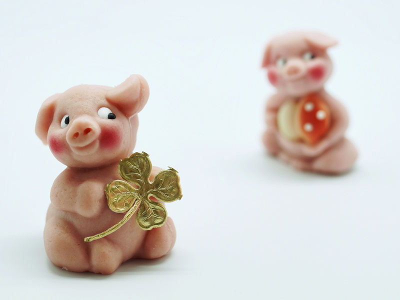 sweet food, focus, funny, piglet, greeting card, congratulations, new years day, good luck, photography, lucky messenger, toy, representation, turn of the year