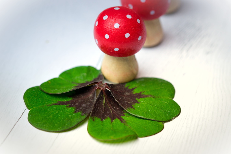 close-up, leaf, wishes, lucky guy, desire, focus on foreground, food and drink, red, healthy eating, klee, new years day, fruit, no people, selective focus