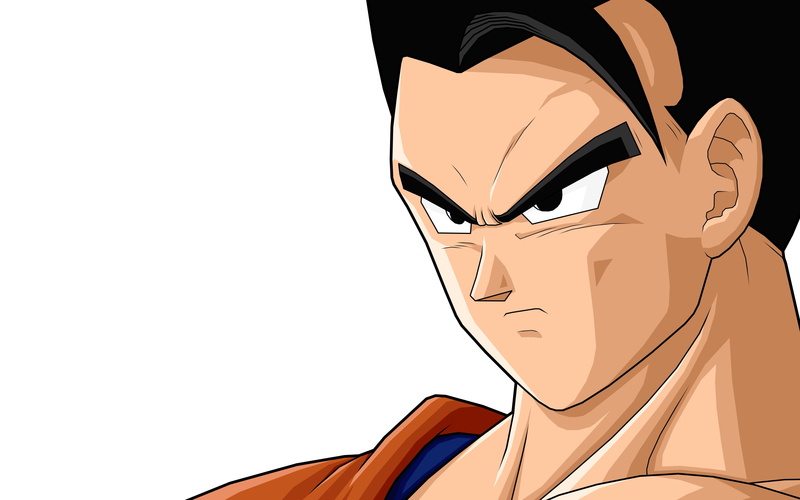 son, anime, Son Gohan, dragon ball z, dragonball, ball, dragon, art, z, gohan, 2K, x, hd