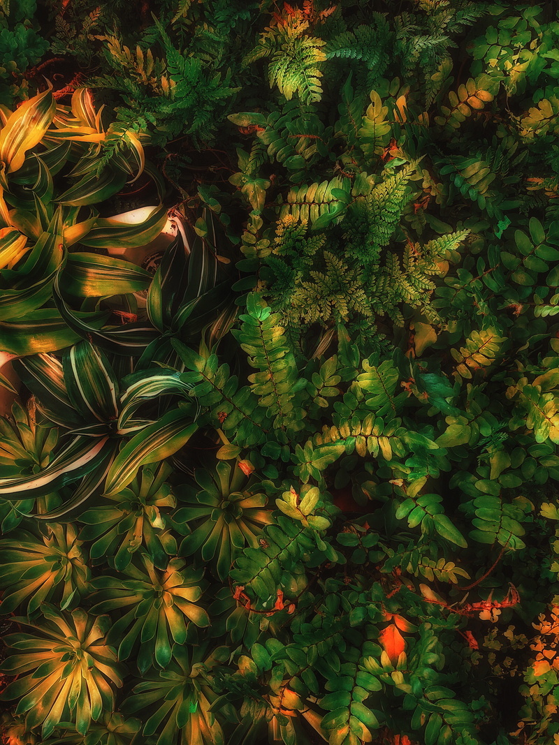 abstract, branch, texture, dark, freshness, colors, detail, Pattern, seamless, yellow, decoration, green, green Color, plant, autumn, backdrop