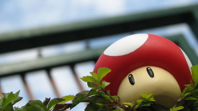 representation, leaf, architecture, festival, focus on foreground, nature, art and craft, close-up, growth, Super Mario, no people, plant part, red, creativity