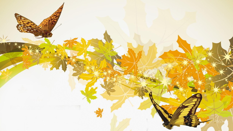 scintillate, glint, trees, leaves, 1080P, fall, butterfly, swagger, glitter, lustre, papillon, twinkle, glea, luster